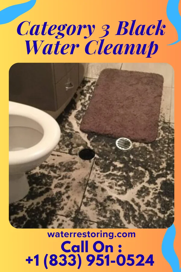 Category 3 Black Water Cleanup in Sleepy Hollow, NY